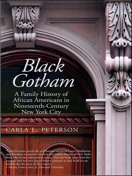 Cover image for Black Gotham